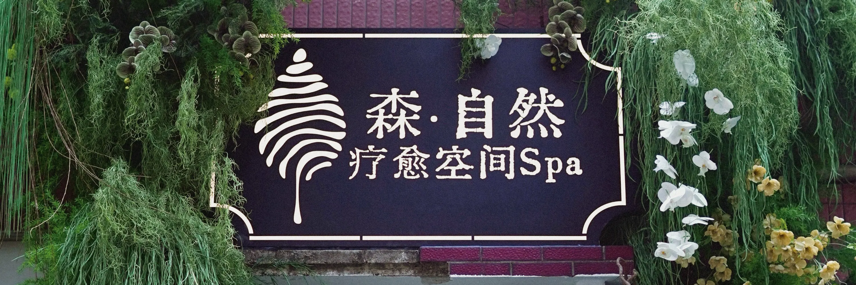 森·自然疗愈空间SPA | 东山口店